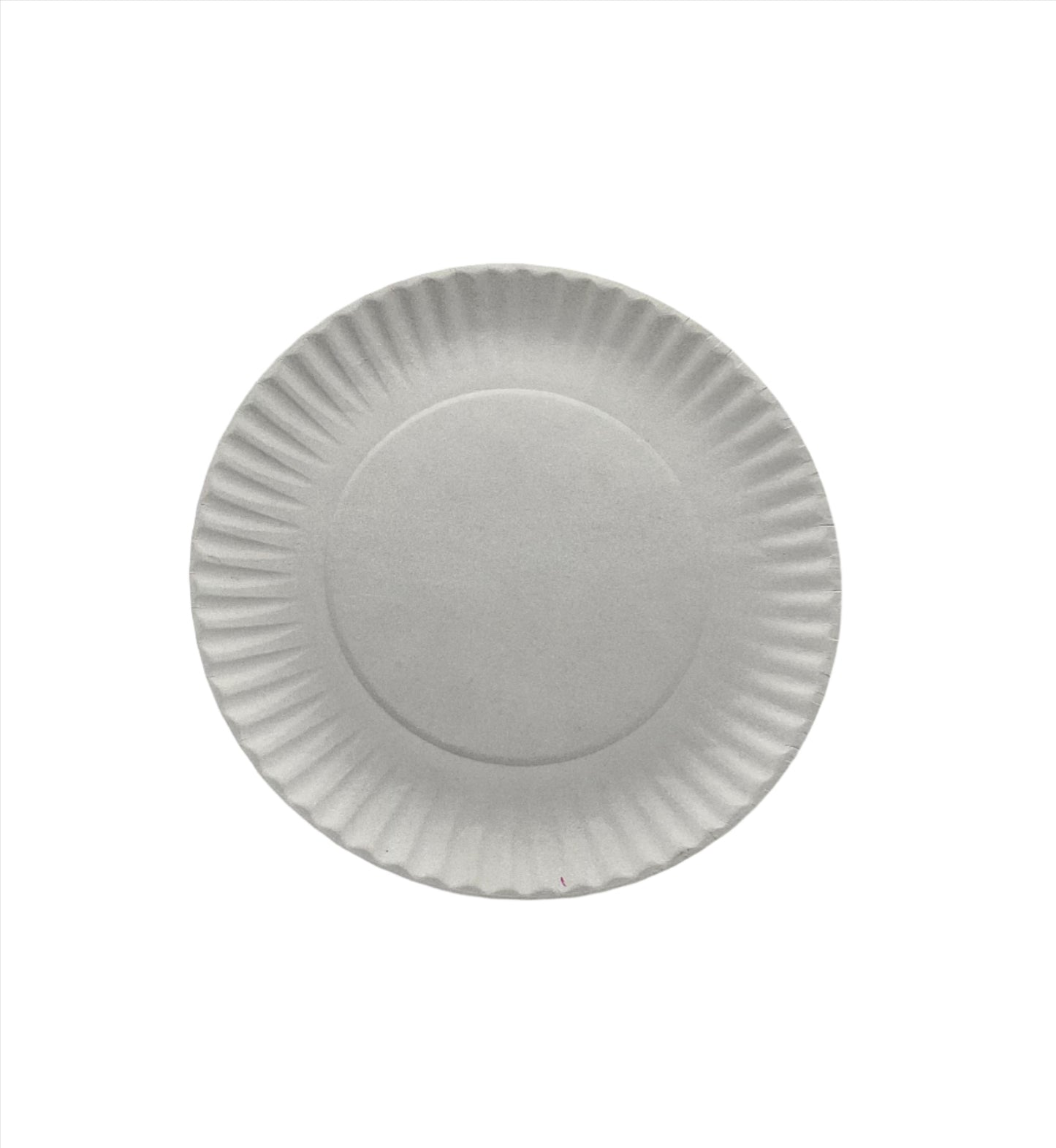 PIZZA PAPER PLATE